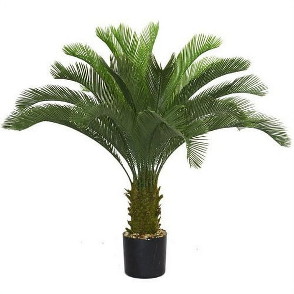Wildon Home Cycas Palm Tree in Pot