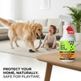 thumbnail image 3 of Bed Bug Spray – 100% Kill Rate, 16 OZ Natural & Mite Killer, Destroys Eggs, Kills Resistant Strains, Long-Lasting Protection, Safe for Home Use, 3 of 5