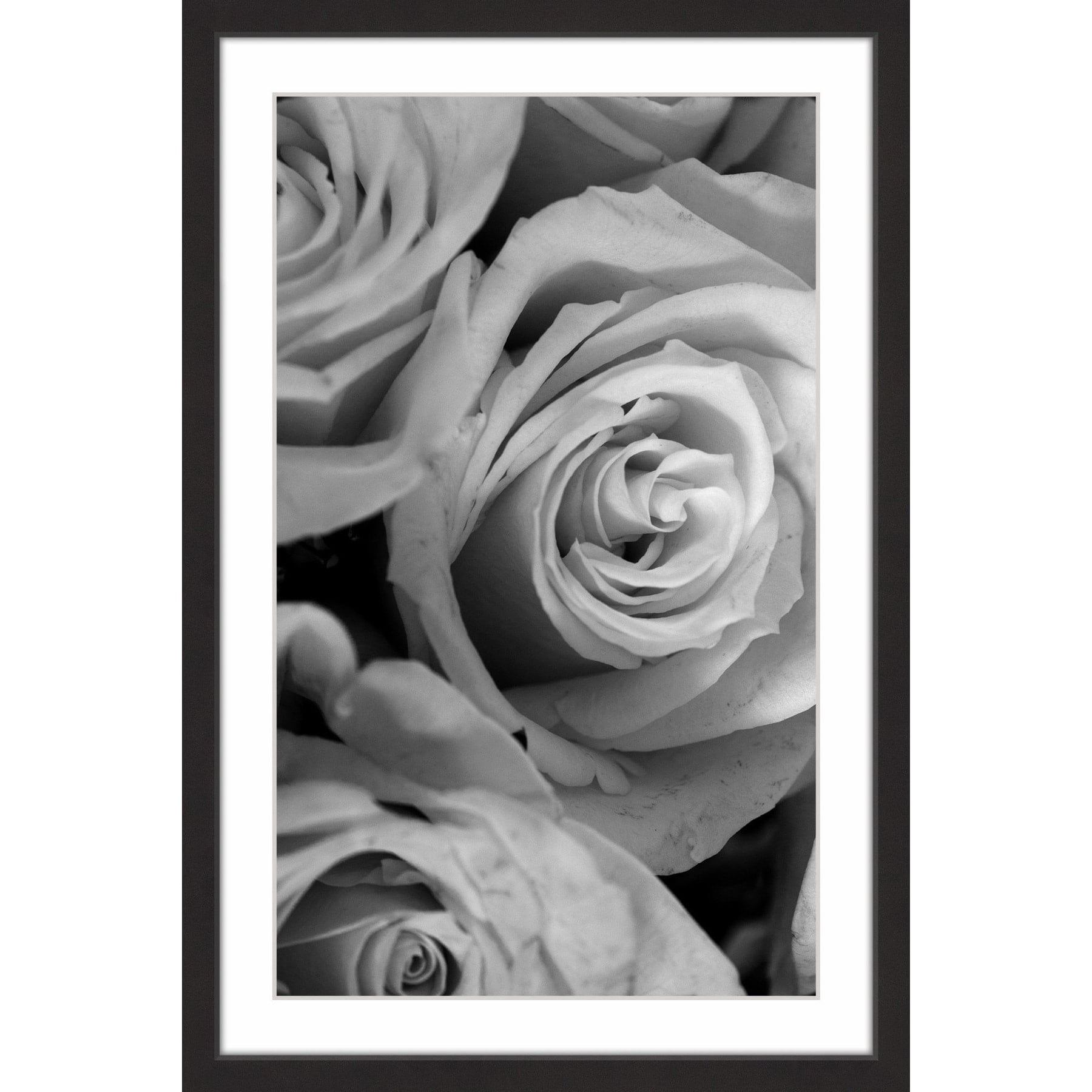 The Eyes of the Rose Framed Painting Print