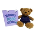 thumbnail image 1 of Way to Celebrate Mother's Day Plush Bear In Bag, 8inch, 1 of 5