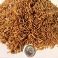 thumbnail image 2 of Red River Shrimp, Freeze Dried 3/8" to 1/2" Shrimp for Cichlids, All Tropical Fish, Pond Fish, Aquatic Turtles, Reptiles, Rodents - 2-lbs, 2 of 2