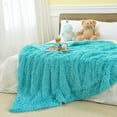 thumbnail image 2 of DweIke Shaggy Throw Blanket with Sherpa Warm Underside,Super Soft Cozy Large Plush Fuzzy Blanket,50"x60",Teal, 2 of 7