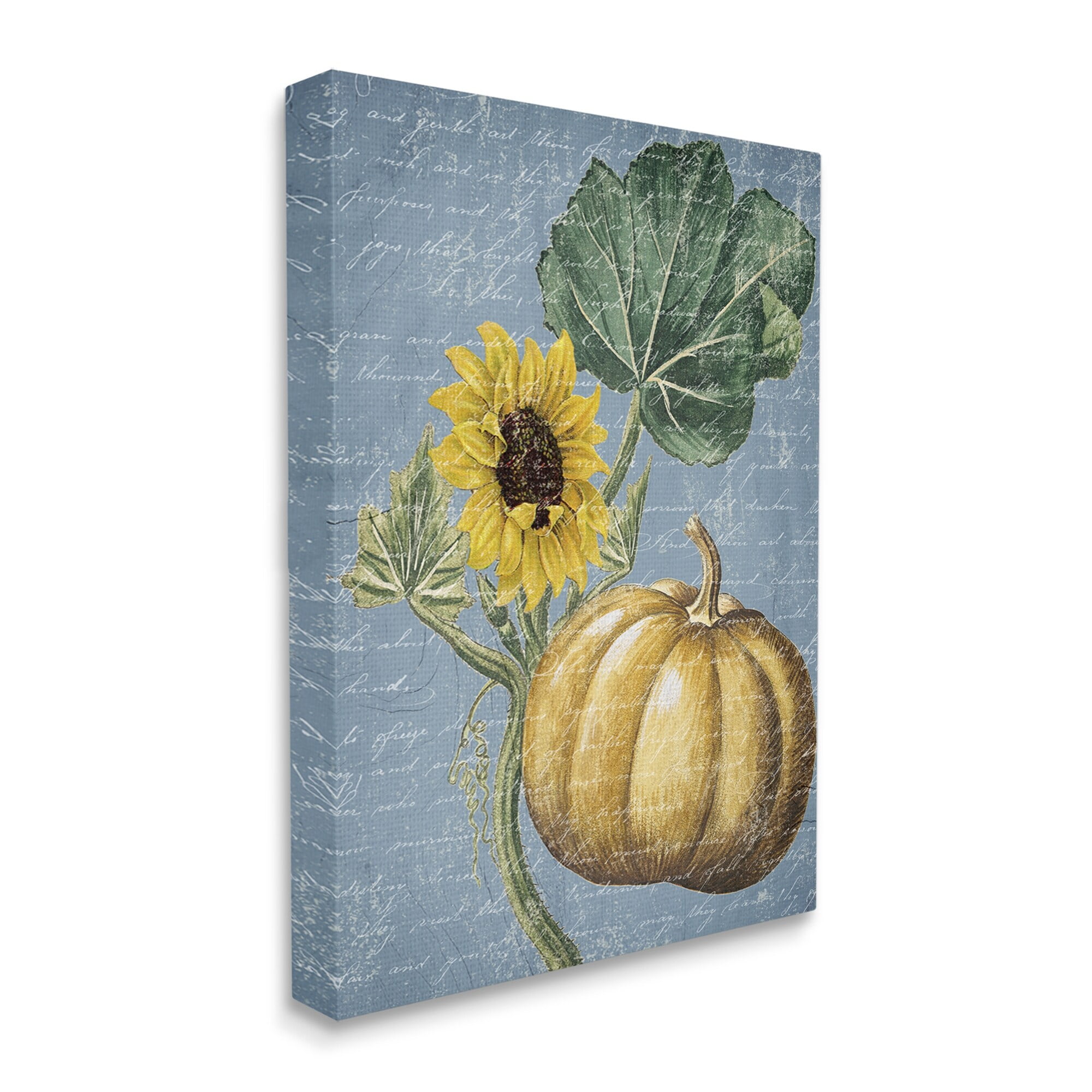 Stupell Industries Vintage Sunflower Stalk Farm Pumpkin Antique Script, 36 x 48,Design by Daphne Polselli