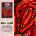 thumbnail image 2 of Survival Garden Seeds - 1 Packet Cayenne Pepper Seed - Non-GMO Heirloom Full Sun Annual Vegetable, 2 of 8