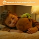 thumbnail image 4 of Peluche de capibara SQEQE con forma de animal de peluche pesado, 35 cm, 0,8 kg, 4 of 9