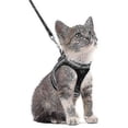 thumbnail image 1 of Harnais pour Chaton avec Fil, Confort Doux Réglable, 1 of 5