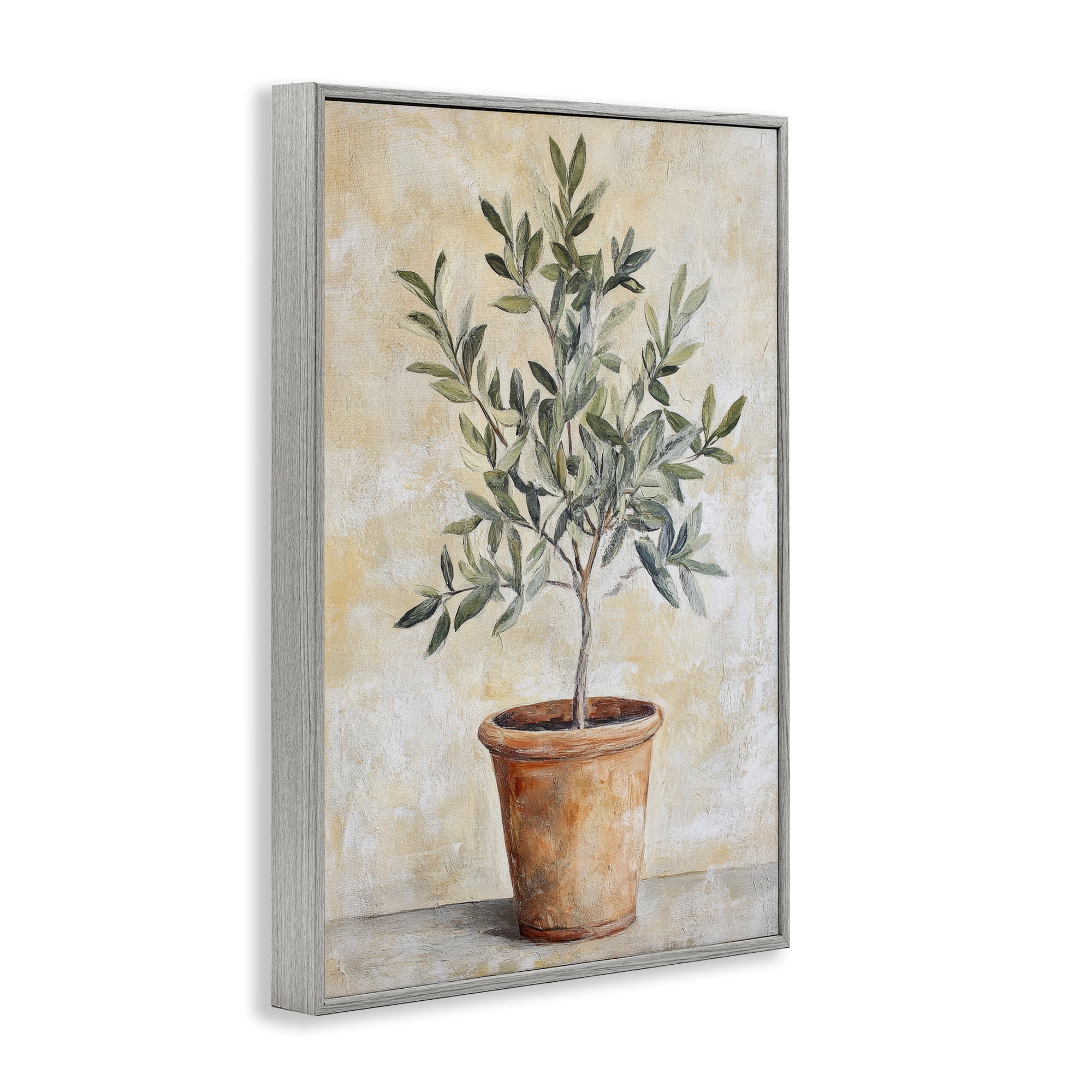 Stupell Industries House Plant in Terracotta Gray Framed Giclee Art, design by Petal Prints Design
