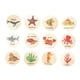 thumbnail image 3 of 12 piezas de juguetes Montessori, juguetes cognitivos, actividades, rompecabezas de madera Montessori mar, 3 of 9