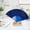 Blue, variant on Folding Hand Fan with Lace Silk, Old-Fashioned Wedding Clothing Accessories Folding Fan, Suitable for Women Girls Summer Party