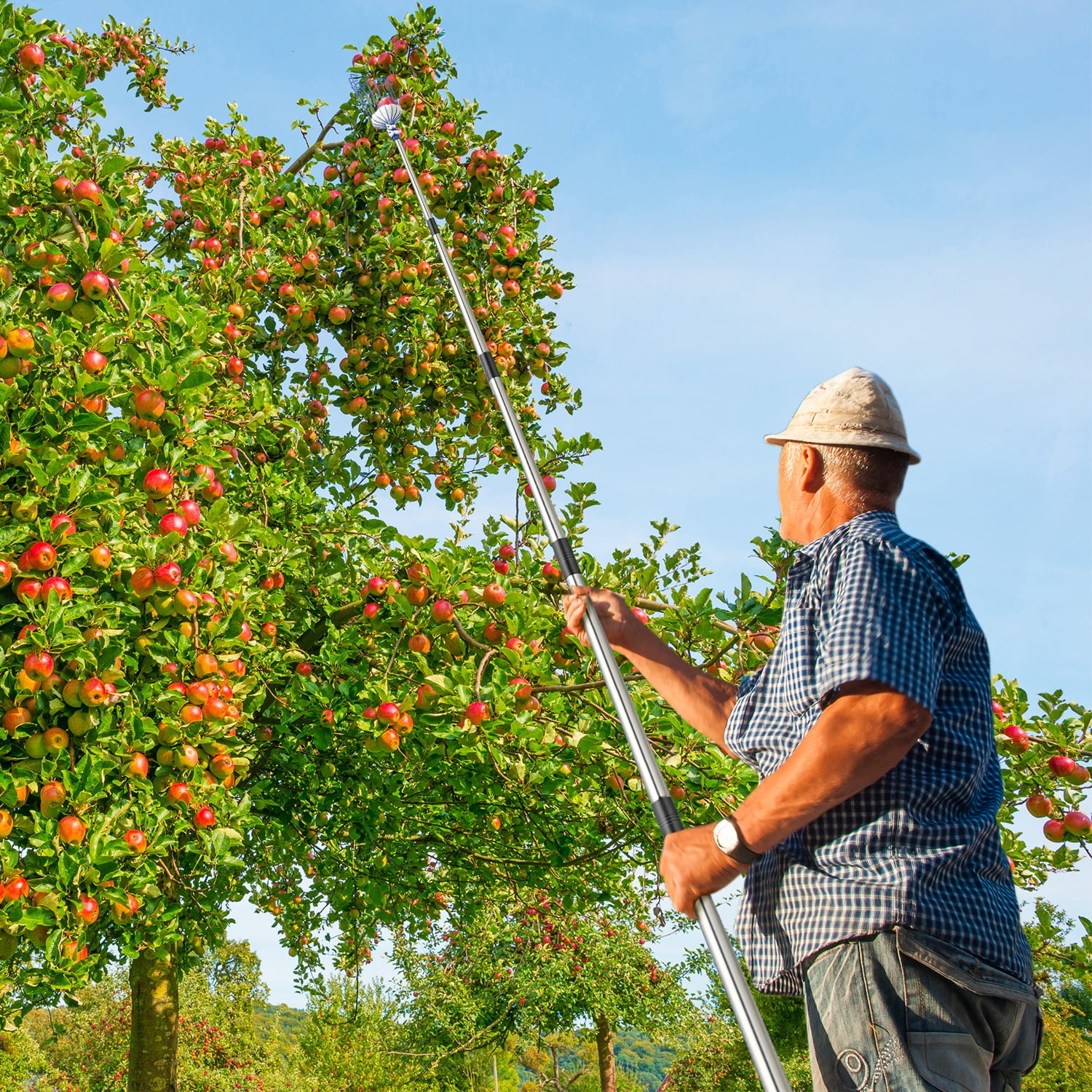 Cooltop Fruit Picker, 13 FT Picker Pole with Basket, Adjustable Fruit  Picker Tool with Stainless Steel Connecting Pole with Foam Pad, Metal Clamp