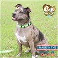 thumbnail image 2 of Country Brook Petz - Deluxe Reflective Nylon Dog Collar, 2 of 7