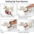 thumbnail image 3 of Dog Harness Soft Suede Fabric Pet Vest Step In Adjustable Reflective _jiue, 3 of 5