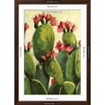 thumbnail image 5 of Art.com Cactus Art Print by Boho Hue Studio, Brown Frame Wall Art, 32" x 44", 5 of 5