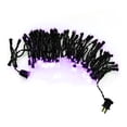 thumbnail image 3 of Luces de Halloween Way To Celebrate Mini LED Morado 100 luces 2 metros, 3 of 4
