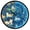 Cartoon Cats and Starry Sky, variant on Dailycode Night Light Wall Clock Glow in The Dark 12 inch Battery Operated Silent Luminous Clocks, Cute Pug Dog and Flower