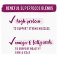 thumbnail image 6 of Purina Beneful Superfood Blendwid Dog Food Lamb and Trout, 9 oz Tubs (8 Pack), 6 of 7