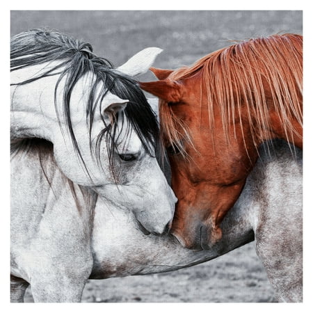 35' Diameter Color - Masterpiece Art Gallery Horse Of A Different Color By Belle Maison Canvas Art Print 35