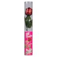 thumbnail image 2 of Milk Chocolate stem rose in acetate, 2 of 5
