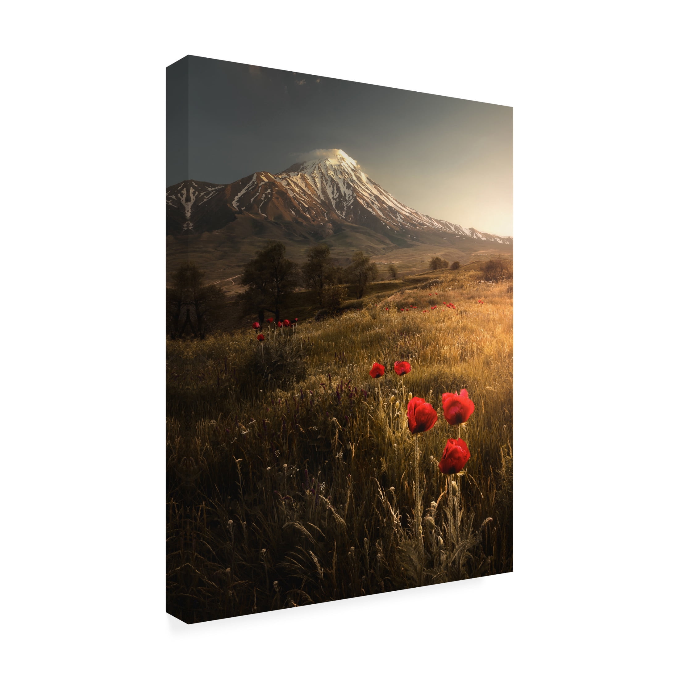 Canvas Wall Art - Majid Behzad 'Life Is Beautiful' Wall Art for Living Room, Bedroom, or Office Décor by Trademark Fine Art - 35 x 47 Inches