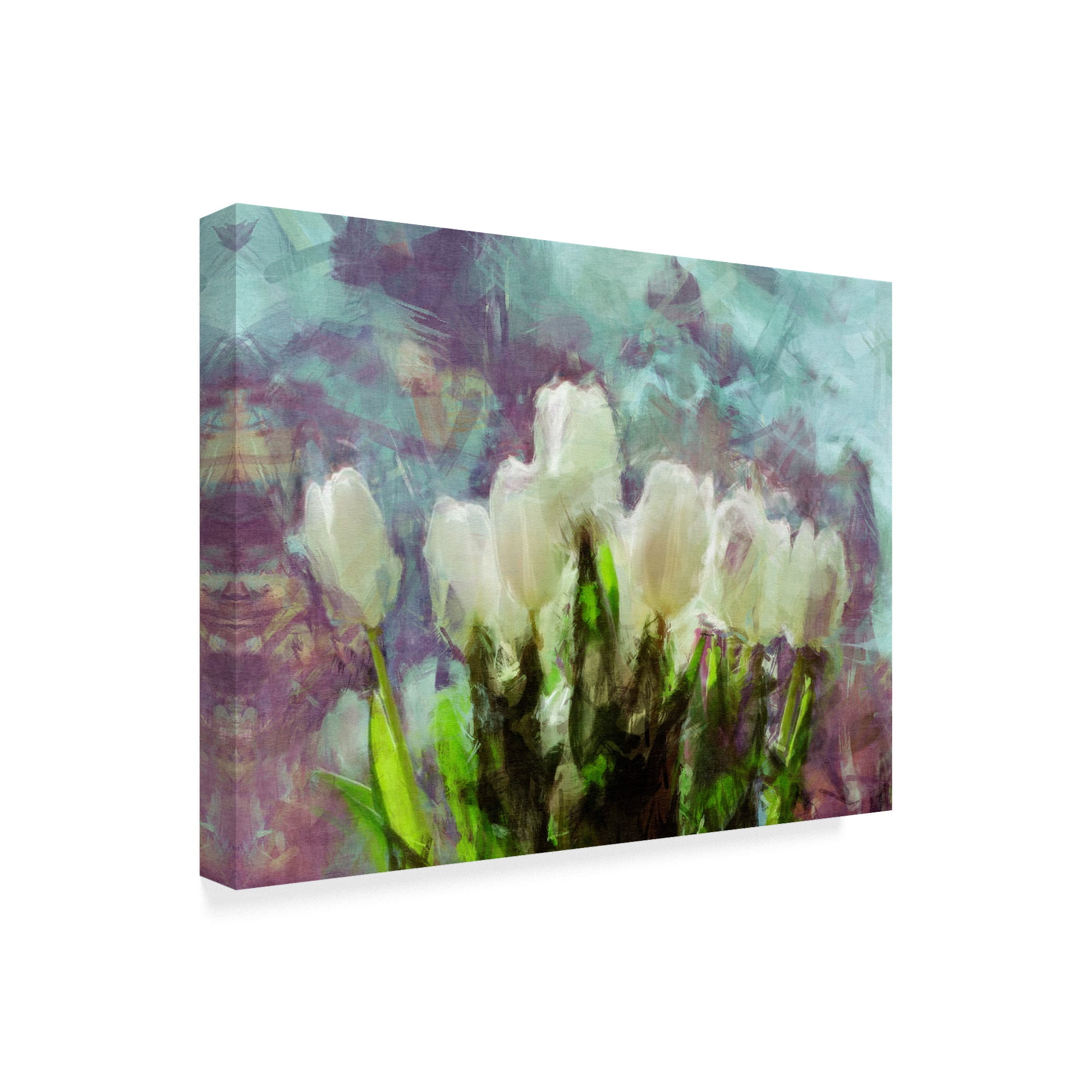 Trademark Fine Art 'Sunlit Tulips II' Canvas Art by Noah Bay
