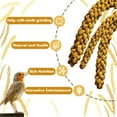 thumbnail image 6 of Advanllent Spray Millet for Birds, Grains, Birds Food Treats, 16oz, 6 of 7