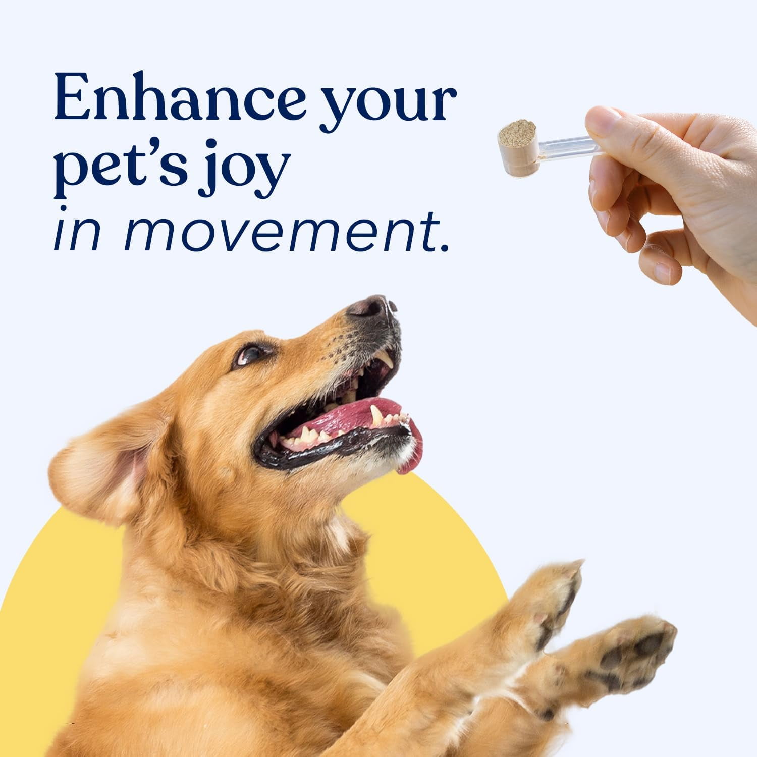 Honest Paws Dog Mobility Supplement- Hip and Joint Powder for Bone Health