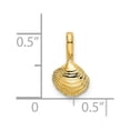 thumbnail image 2 of Auriga Fine Jewelry 14K Yellow Gold Mini Clam Shell Charm for Women (Length - 11.8 mm, Width - 6.9 mm), 2 of 6