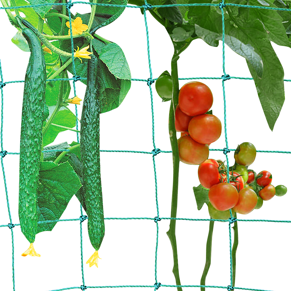 Premium Trellis Net with Large Mesh Size for Particularly Yielding Harvesting Of Cucumbers