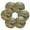 Cow in Green Rolling Hills, variant on 6 Pcs Drink Coasters with Holder 3.94in Woven Coasters for Drinks Colorful Starfish and Seashells Coaster Set for Protection Table