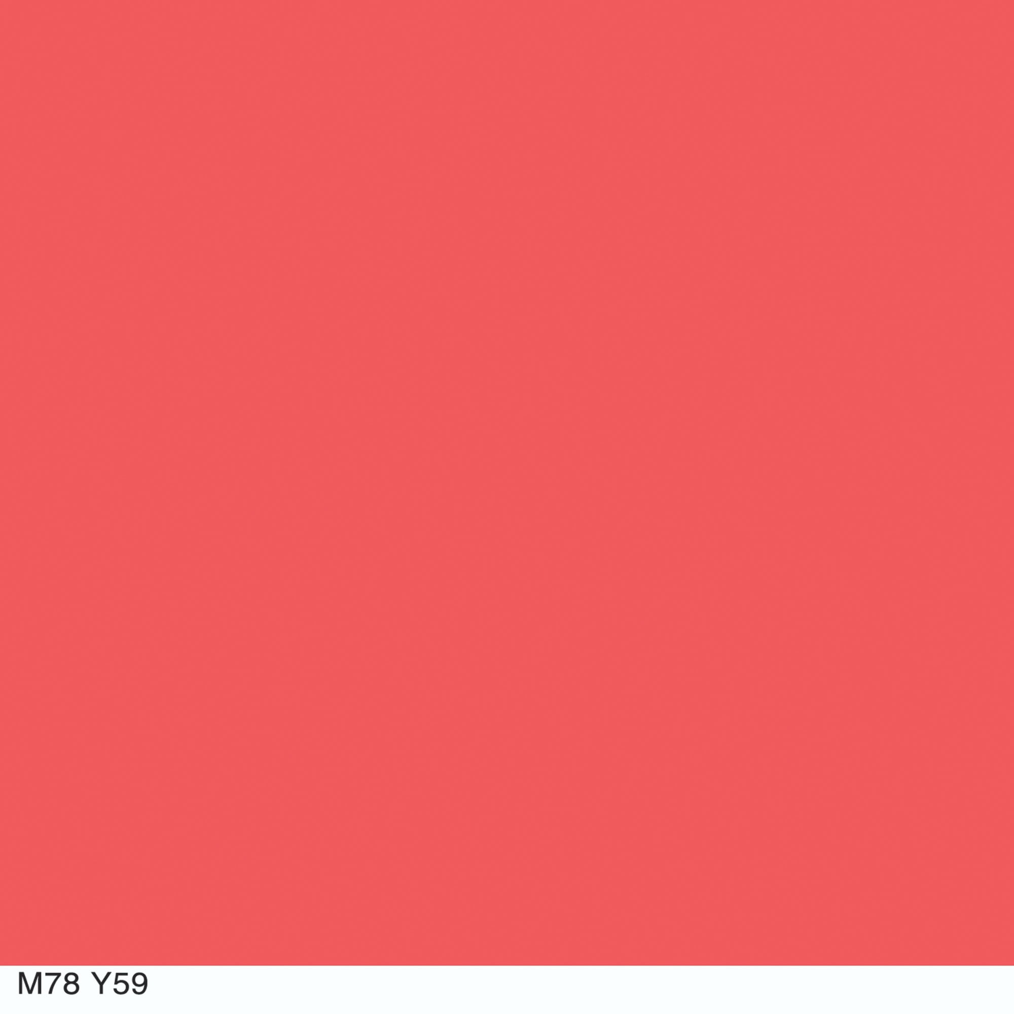 Coral Cat