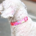 thumbnail image 3 of Collar para mascota, correa para perro pequeño, perro que camina, cuerda para perro, collar para mascota, 3 of 5