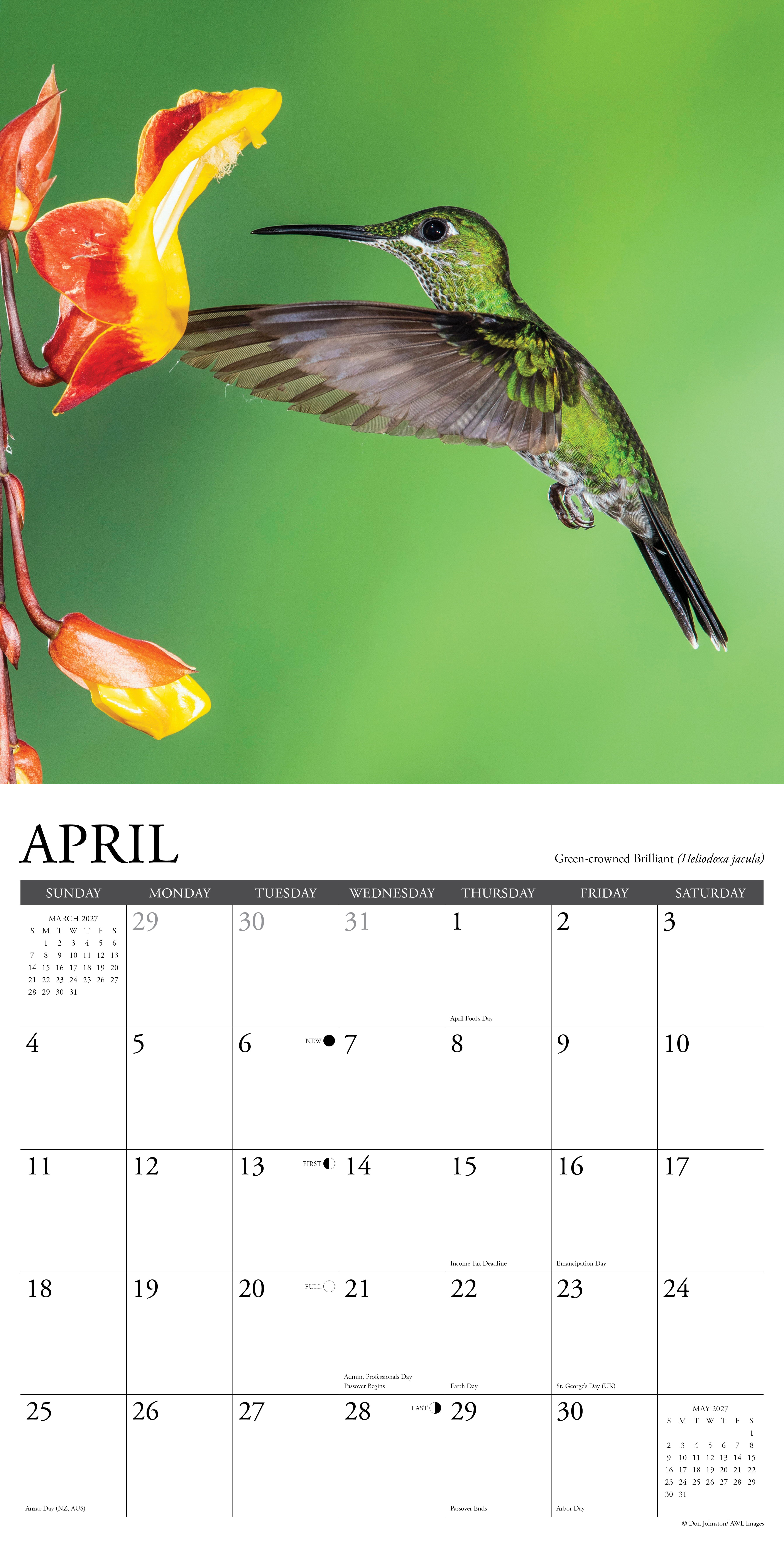 Willow Creek Press, Hummingbirds 2027 Wall Calendar