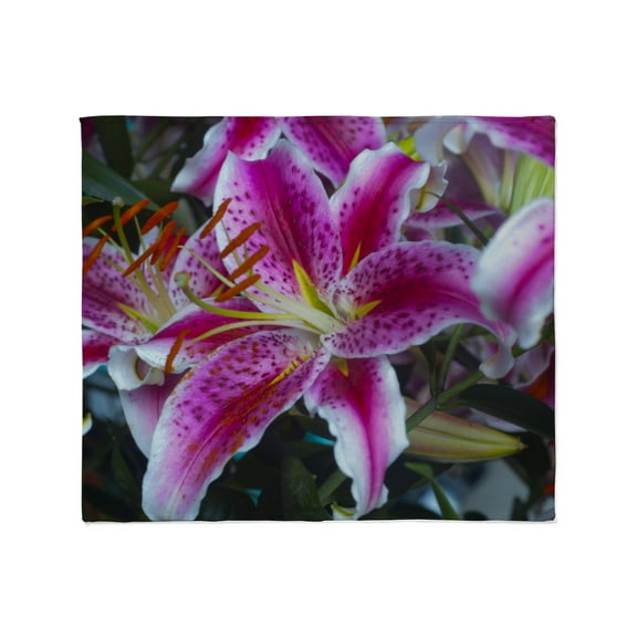 CafePress - Stargazer Lily Throw Blanket - Soft Fleece Throw Blanket, 50"x60" for All Ages