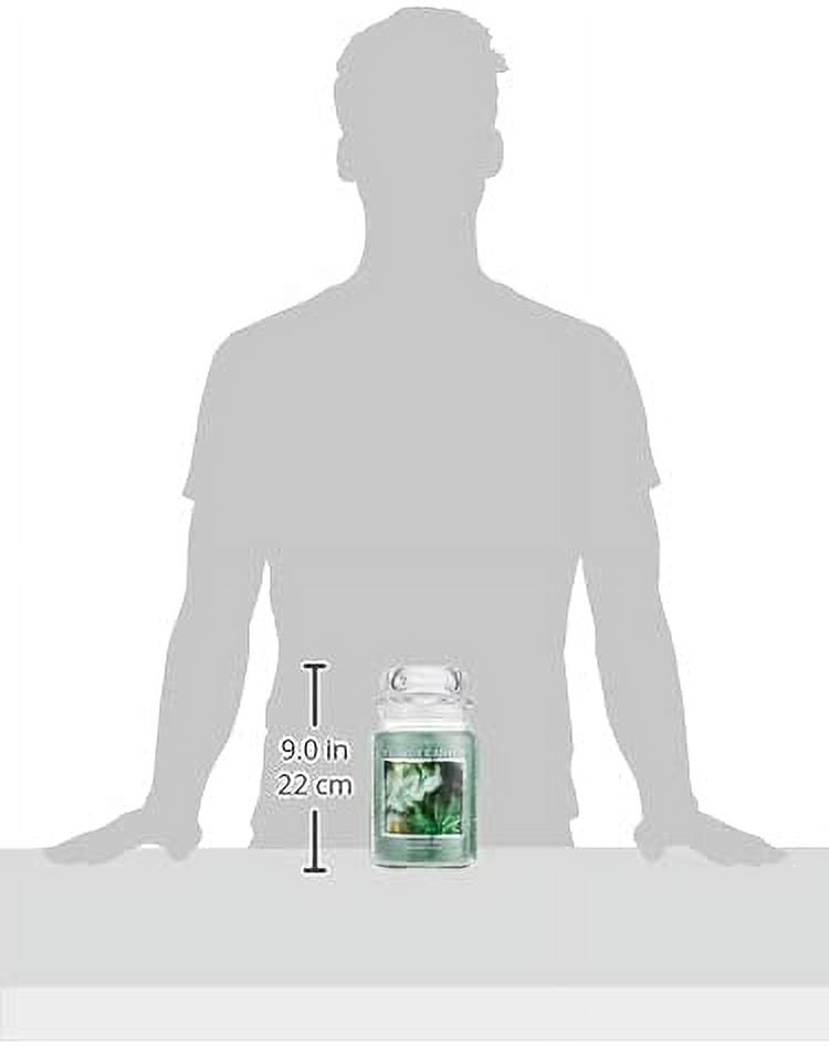 Eucalyptus Mint Large Glass Apothecary Jar Scented Candle, 21.25 oz, Green