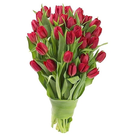 KaBloom : 30 Red Tulips - Wholesale Fresh Flowers I Gift for Birthday, Anniversary, Thank You, Mother’s Day Fresh Flowers.