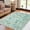 green, variant on 2*6ft/4*6ft/5*7ft/8*10ft/9*12ft/10*13ft Modern Floral Insect Area Rug Washable Rug Stain Resistant Throw Carpet Butterfly Print Low Pile Folding Floor Cover with Non-Slip Backing