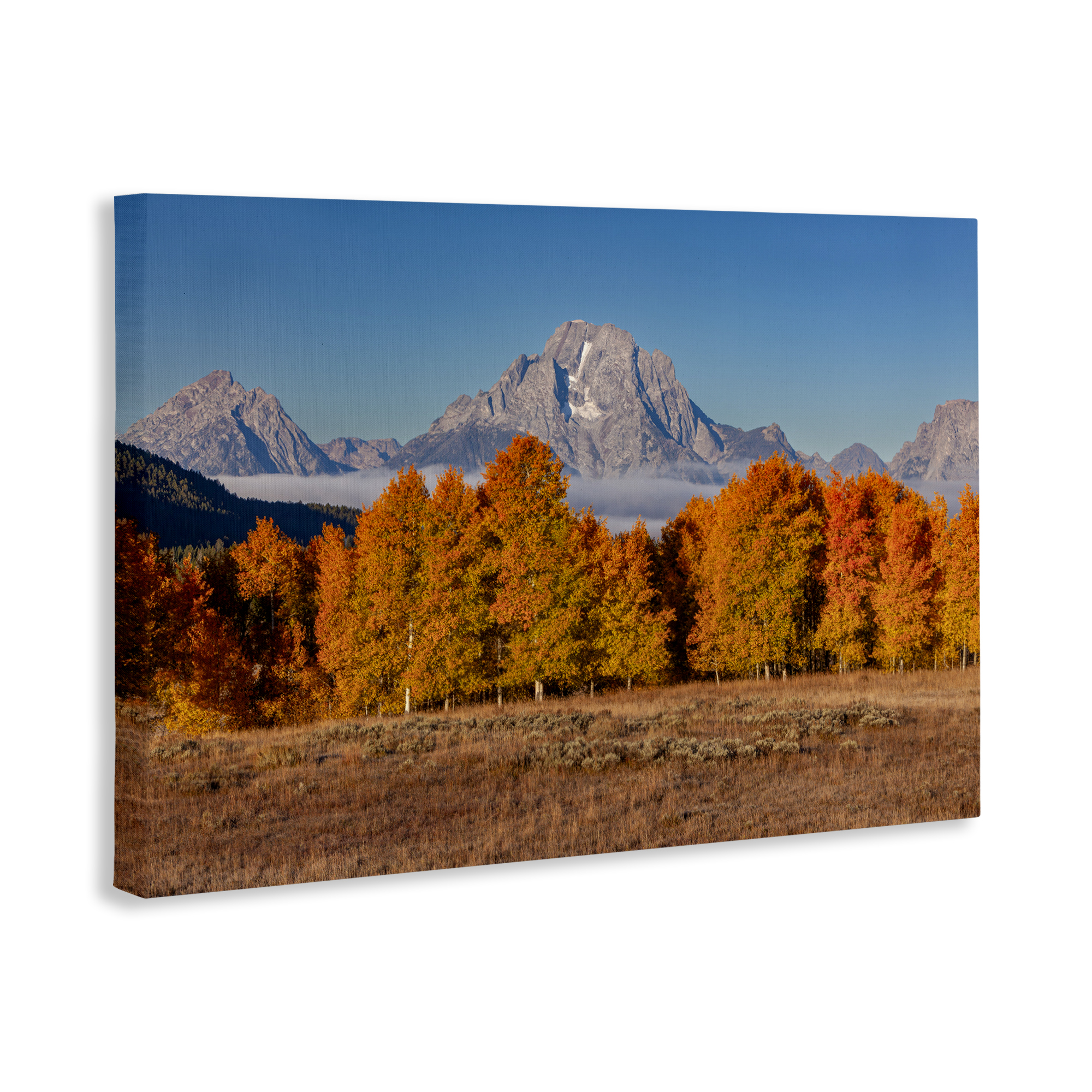 Autumn Tree Line With Mountain Canvas Wall Art, design by Shelley Carlisle