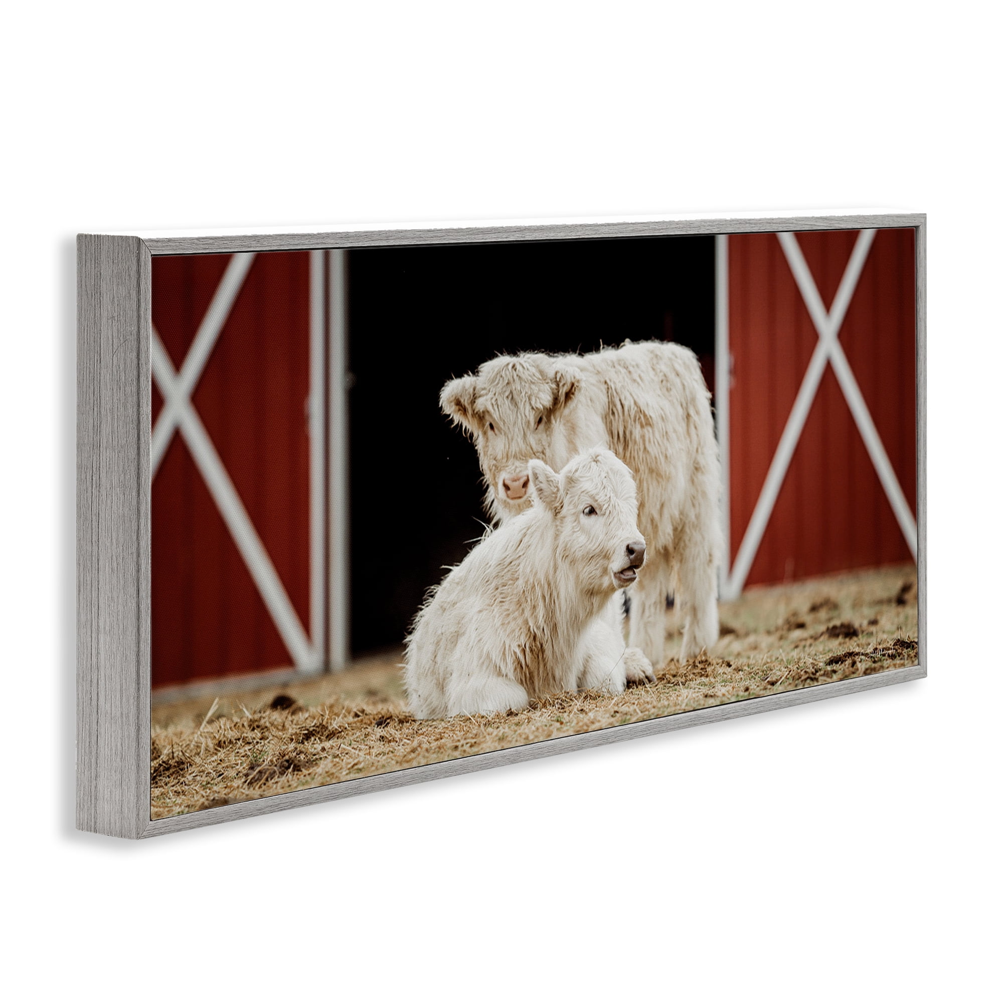 Stupell Industries White Cattle Barn Animals & Insects Photography Gray Framed Art Print Wall Art, 30 x 13