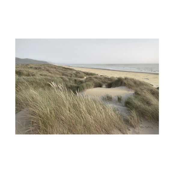 Alan Majchrowicz 'Oregon Dunes' Canvas Art