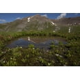 thumbnail image 2 of Grall, Don 18x13 White Modern Wood Framed Museum Art Print Titled - CO, San Juan Mts Pond lined with marsh marigold, 2 of 4