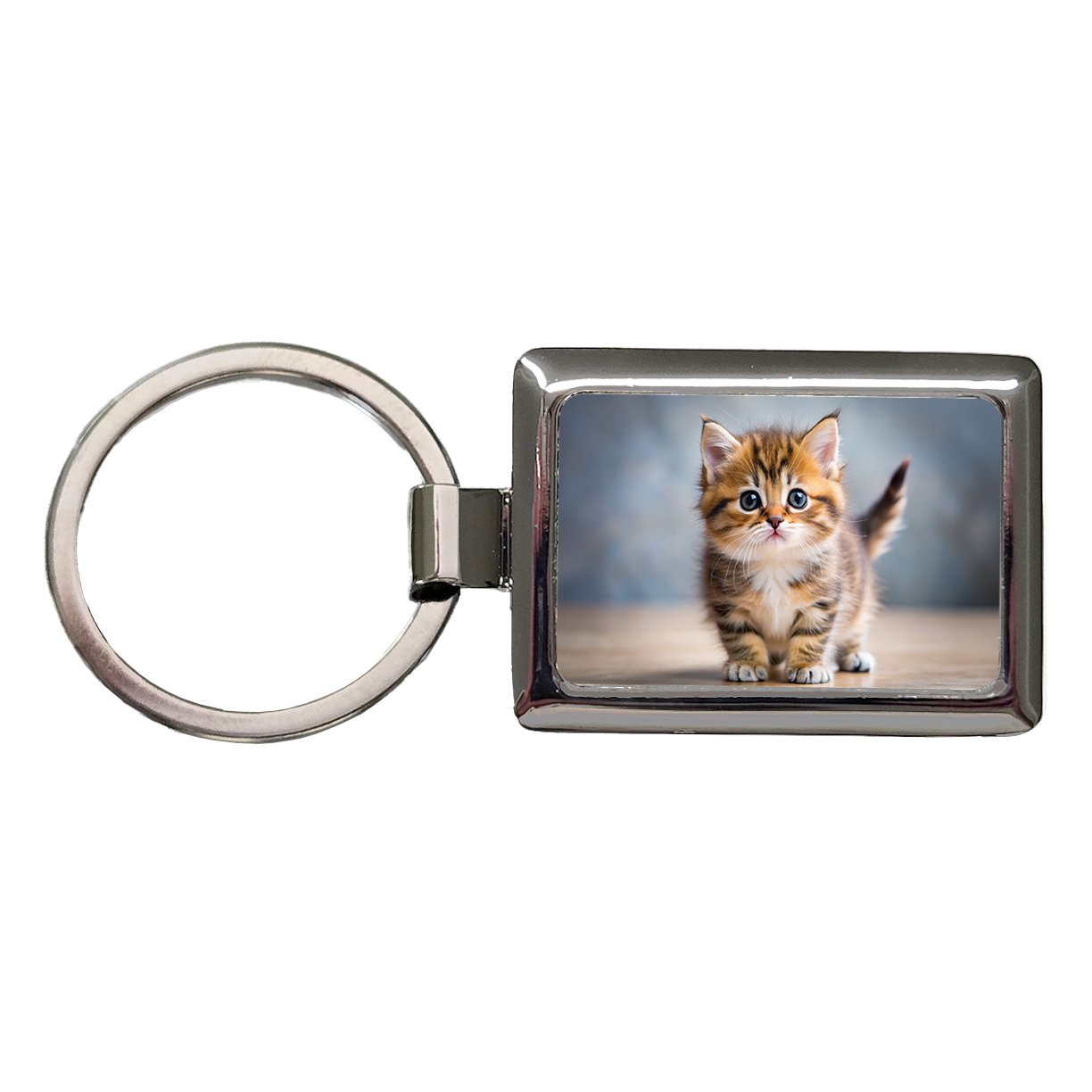 Munchkin Cat Kitten Photo Metal Rectangle Keychain