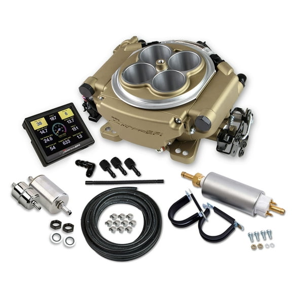 Holley EFI 550-516K
