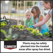 Eliminator Weed & Grass Killer Concentrate Herbicide, 16 fl oz, Kills Down to The Root