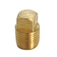 thumbnail image 1 of Homeplus+ Tapón Ciego Cuadrado MPT de Latón 1/2", 1 of 1