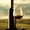 Red Wine From Vineyard, variant on Elephant Stock Classy Red Wine Wall Art - Horizontal Canvas Wall Art - Dining Room Wall Decor - Food And Drink Canvas - Red And Gray Decor - 12" x 8"