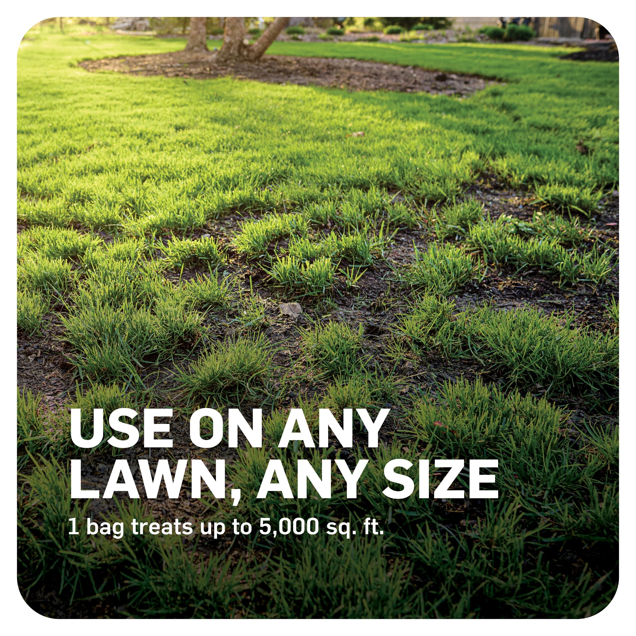 Scotts DiseaseEx Lawn Fungicide for Brown Patch and Pythium Blight, 10 lbs.