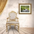 thumbnail image 3 of Pangea Images 14x12 Gold Ornate Wood Framed with Double Matting Museum Art Print Titled - Waterfall in Santa Rosa de Cabal, Colombia, 3 of 4