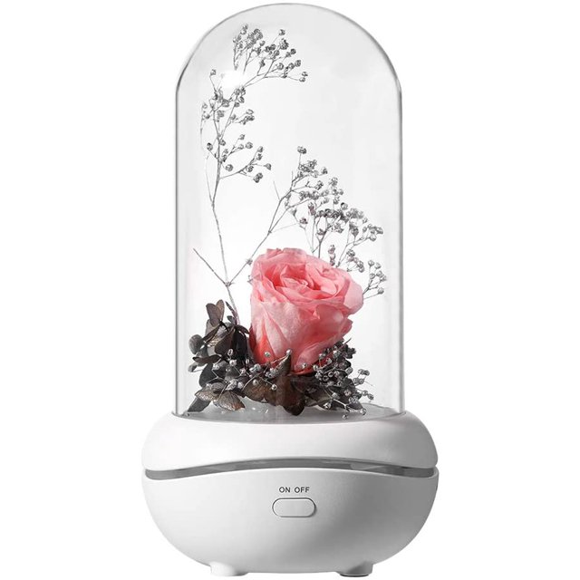 Fragancia preservada, lámpara portátil, recargable, difusor de aroma USB para el hogar, la oficina, el dormitorio Adepaton LL-2485-1