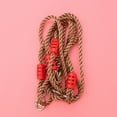 thumbnail image 4 of 2pcs Durable Tree Swing Hanging Straps Kit Strap Ring Adjustable Outdoor Rope Swing Hangers, 4 of 8