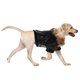 thumbnail image 4 of unbranded Chaqueta Para Perro De Negro Con Ajustable Y Material Cómodo Para Mantener Calor, 4 of 6